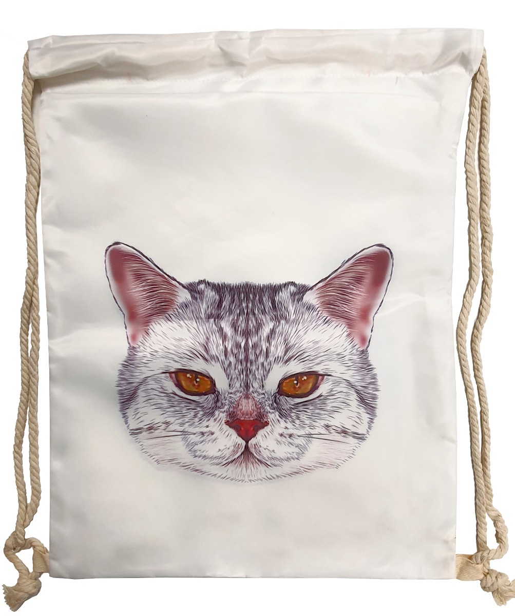 Sussikott Meow